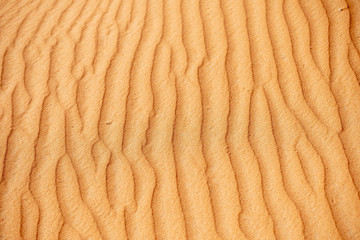 Form the desert sands