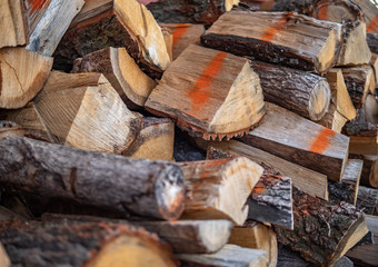 Dry chopped firewood logs ready for winter