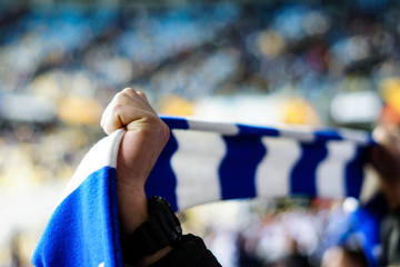 Overjoyed football fan holding a scarf and cheering