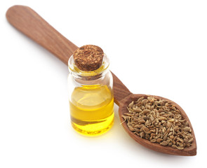 Anise seeds with essential oil in a jar