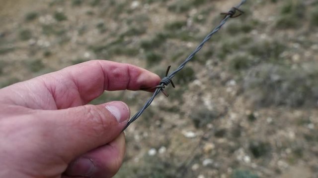 barbed wire mesh fence, field and barbed wire,