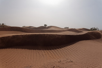 Fototapeta na wymiar Sahara w Maroku