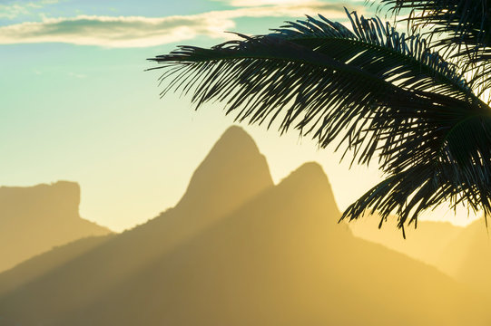 Scenic sunset view of Two Brothers Mountain framed by the silhouette of a palm tree in Ipanema Beach, Rio de Janeiro, Brazil 