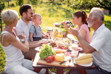 Family having  lunch at summer party