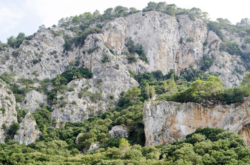 VALLDEMOSSA DETALLES VALDEMOSA 2017