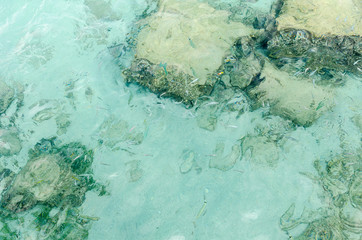 agua mediterraneo cristalina mallorca