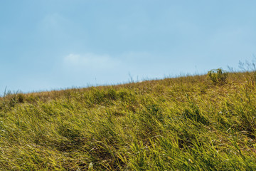 Fototapeta premium Green grassy damm with blue sky