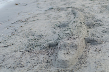 COCODRILO PLAYA ARENA