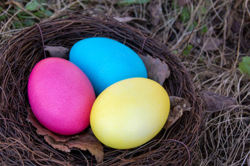 Painted Easter eggs in a nest on spring grass
