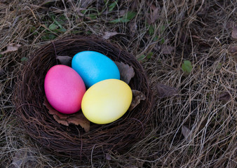 Painted Easter eggs in a nest on spring grass