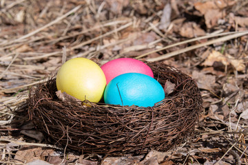 Painted Easter eggs in a nest on spring grass