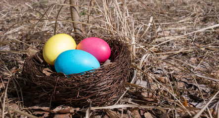 Painted Easter eggs in a nest on spring grass