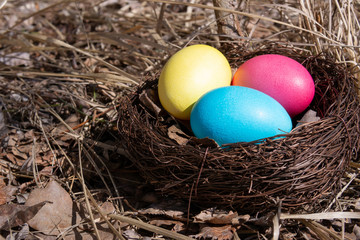 Painted Easter eggs in a nest on spring grass