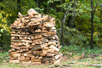 Woodpile. Firewood stacked in a woodpile. Stock of firewood in the forest.