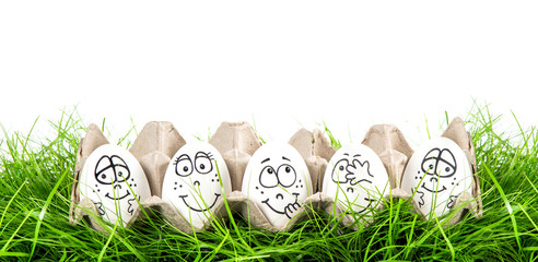 Funny Easter eggs decoration green grass white background