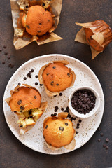 Vanilla muffins in paper form with chocolate drops on a concrete background. View from above.
