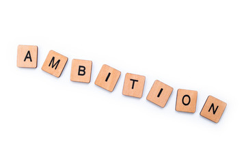 The word AMBITION