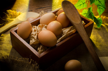 Huevos de Gallina