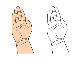 Palm, top view. Vector illustration in flat style.