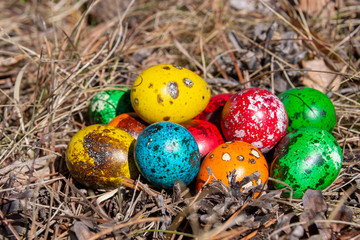 Fototapeta na wymiar Quail Easter decorated eggs in a forest on spring grass