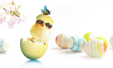 Ostern Küken Motiv