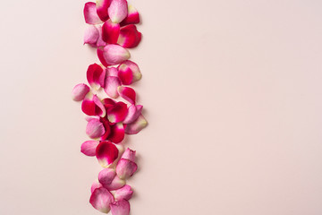 top close up view of red rose petal on pink