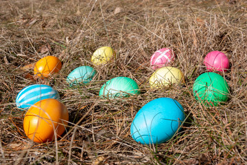 Easter decorated eggs in a forest on spring grass