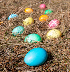 Fototapeta na wymiar Easter decorated eggs in a forest on spring grass