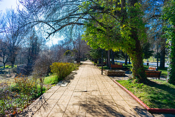 Path with Trees and Plants in Ifrane Morocco