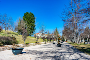 Path with Trees and Plants in Ifrane Morocco