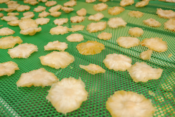 Dried pineapple fruit organic making dry on net with sunlight