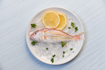 Fresh fish on plate ice with lemon and parsley on white table background top view