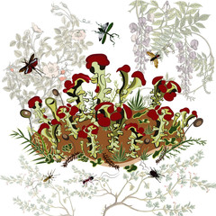This vector image depicts blooming moss, detailed with insects, plants, flowers. Moss grows in air pollution free environment. We love moss as we love clean air.  Great image for Go Green projects.