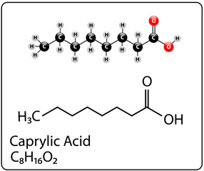 Caprylic acid,Molecule Structure