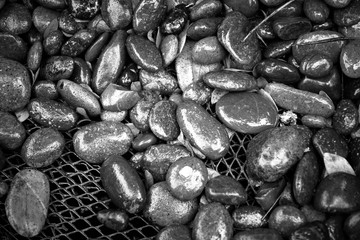 Pebble