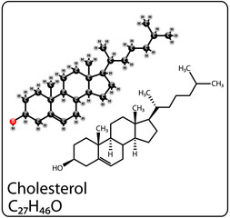 Cholesterol Molecule Structure