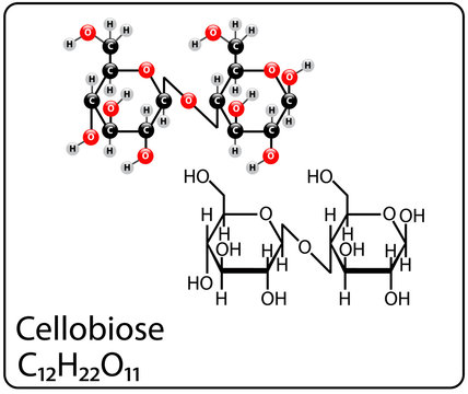 Cellobiose Molecule Structure