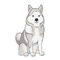 Illustration of sitting siberian husky. Vector art of animal on white background. Cute cartoon husky drawn by hand.