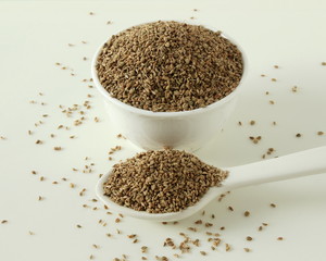ajwain or Trachyspermum ammi,caraway herb spice seeds in bowl and spoon