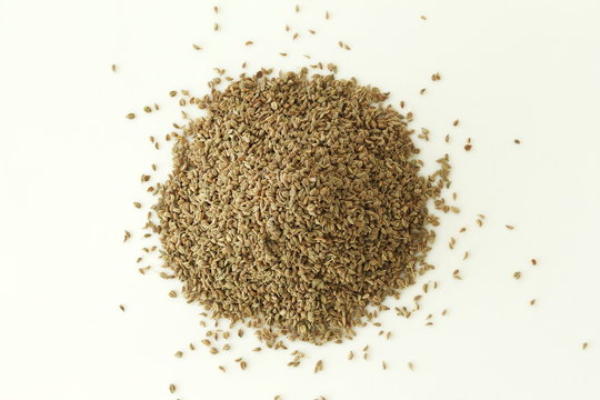 heap of ajwain or Trachyspermum ammi,caraway herb spice seeds 