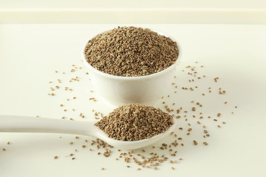 ajwain or Trachyspermum ammi,caraway herb spice seeds in bowl and spoon
