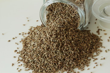 ajwain or Trachyspermum ammi,caraway herb spice seeds in bottle