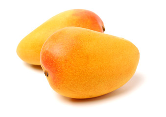 Mango on white background
