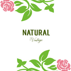 Vector illustration lettering natural vintage for decor frame flower pink and green leaves