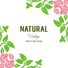 Vector illustration lettering natural vintage for decor frame flower pink and green leaves
