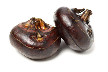 Water Chestnut on the white background