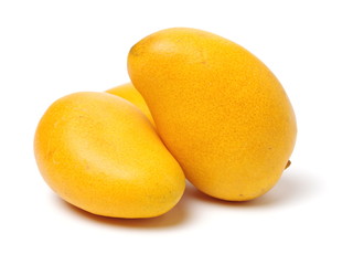 Mango on white background