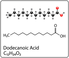 Dodecanoic Acid Molecule Structure