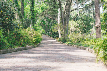Obraz premium Tallahassee Garden