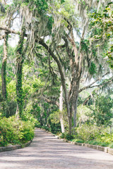 Fototapeta premium Tallahassee Garden
